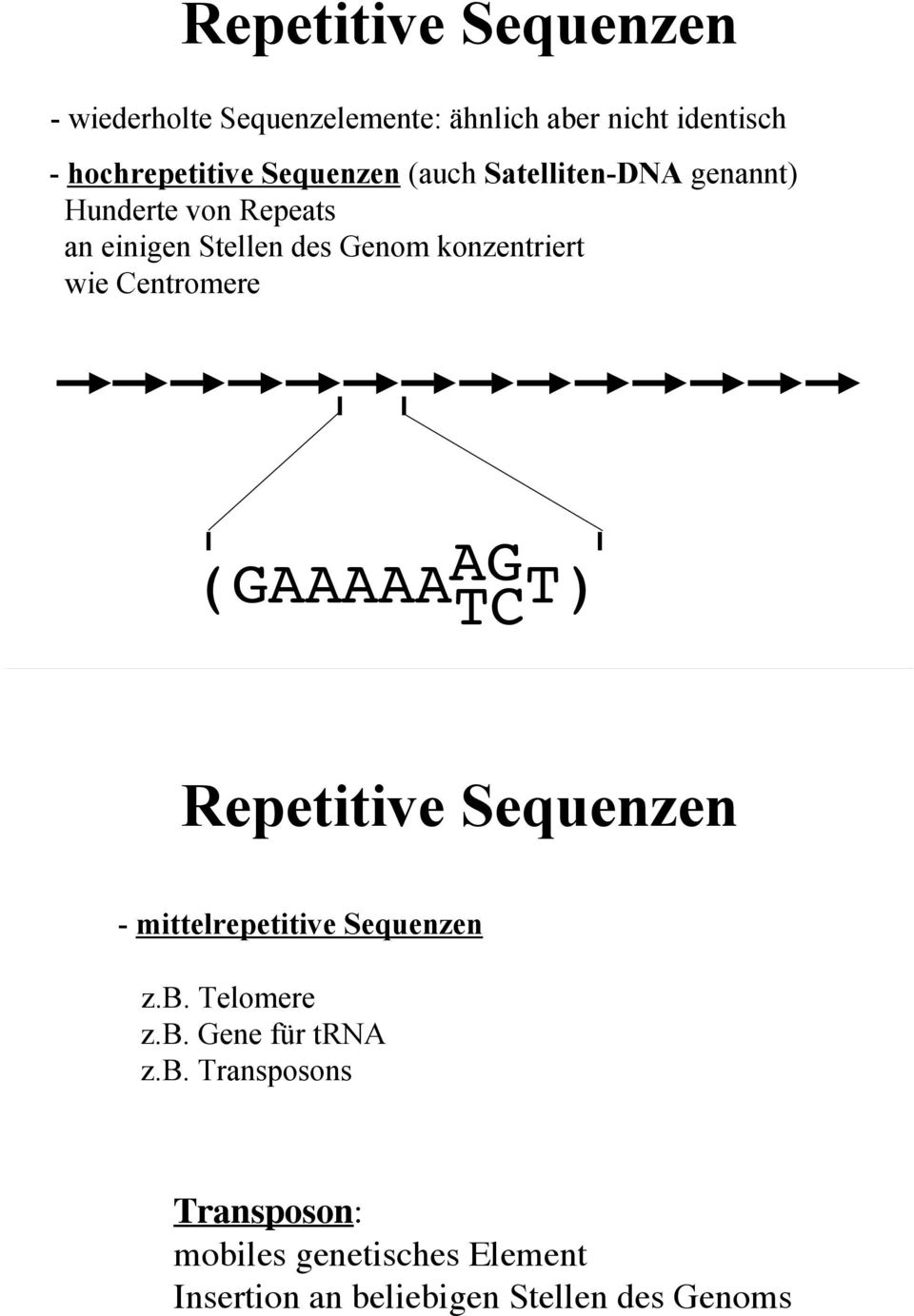 wie Centromere (GAAAAA AG TC T) Repetitive Sequenzen - mittelrepetitive Sequenzen z.b. Telomere z.b. Gene für trna z.