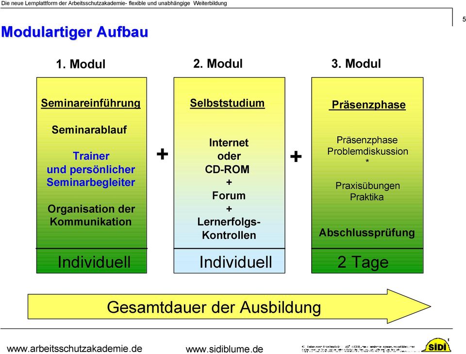 der Kommunikation Individuell Selbststudium Internet oder CD-ROM + Forum + Lernerfolgs-