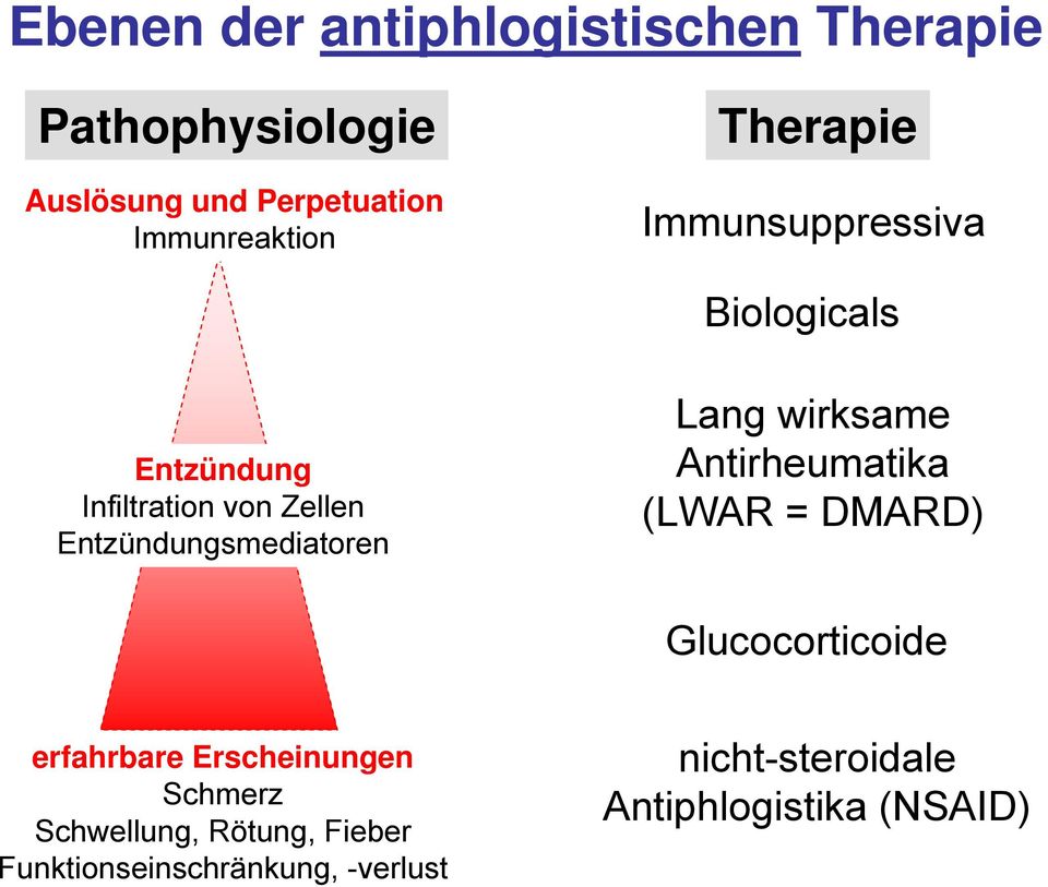 Lang wirksame Antirheumatika (LWAR = DMARD) Glucocorticoide erfahrbare Erscheinungen Schmerz