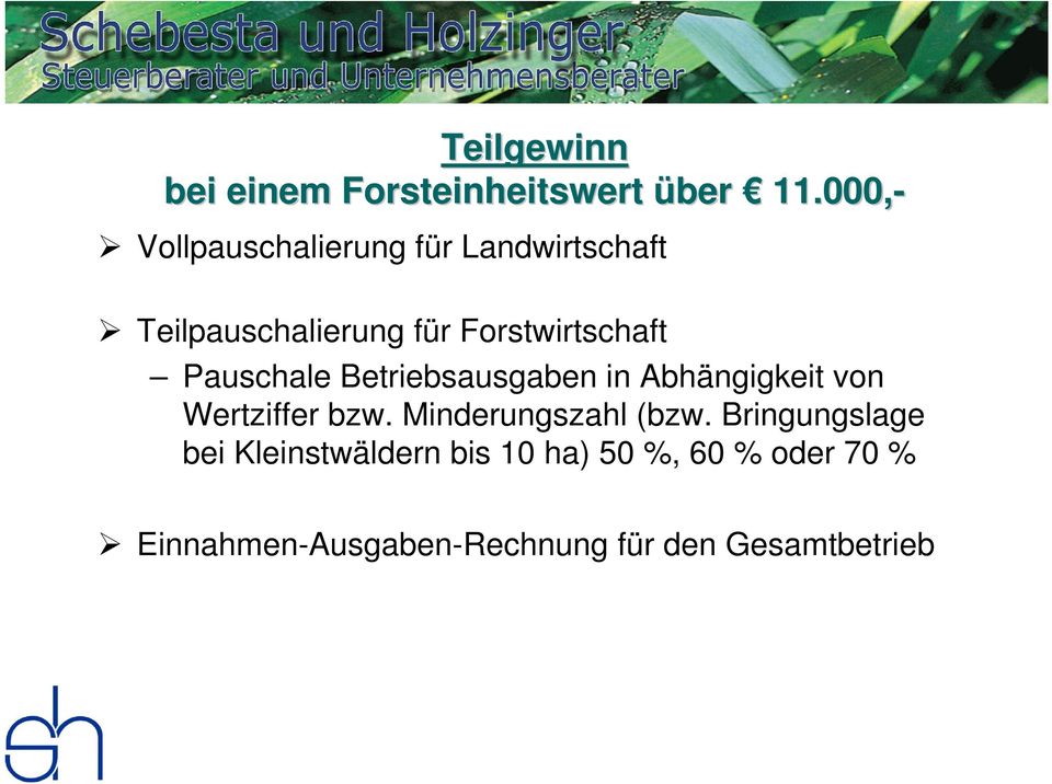 Forstwirtschaft Pauschale Betriebsausgaben in Abhängigkeit von Wertziffer bzw.