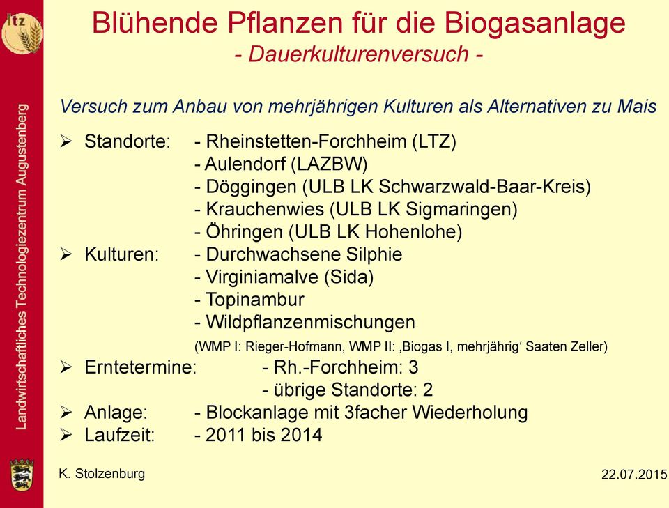 Öhringen (ULB LK Hohenlohe) - Durchwachsene Silphie - Virginiamalve (Sida) - Topinambur - Wildpflanzenmischungen (WMP I: Rieger-Hofmann,