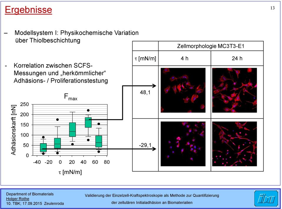 Messungen und herkömmlicher Adhäsions- / Proliferationstestung [mn/m] 4 h