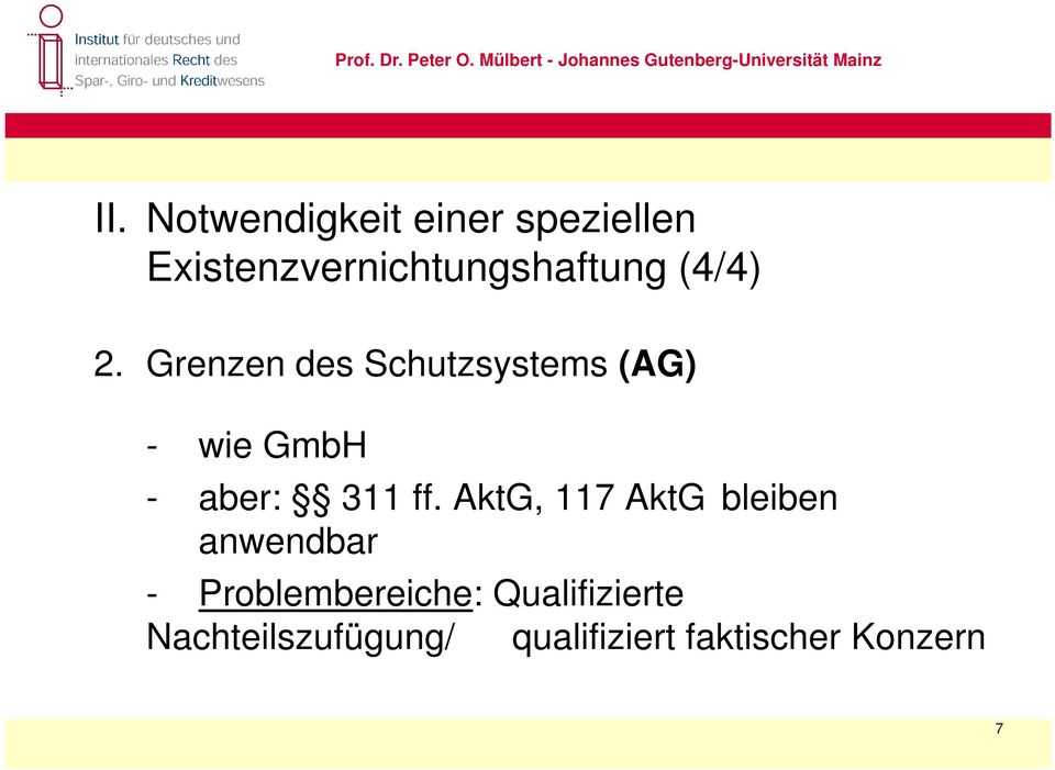 Grenzen des Schutzsystems (AG) - wie GmbH - aber: 311 ff.