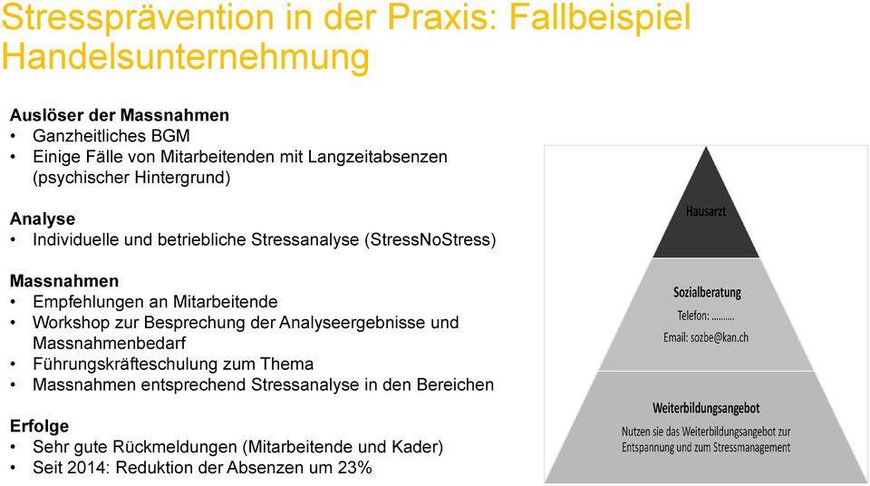 Massnahmen Empfehlungen an Mitarbeitende Workshop zur Besprechung der Analyseergebnisse und Massnahmenbedarf Führungskräfteschulung zum