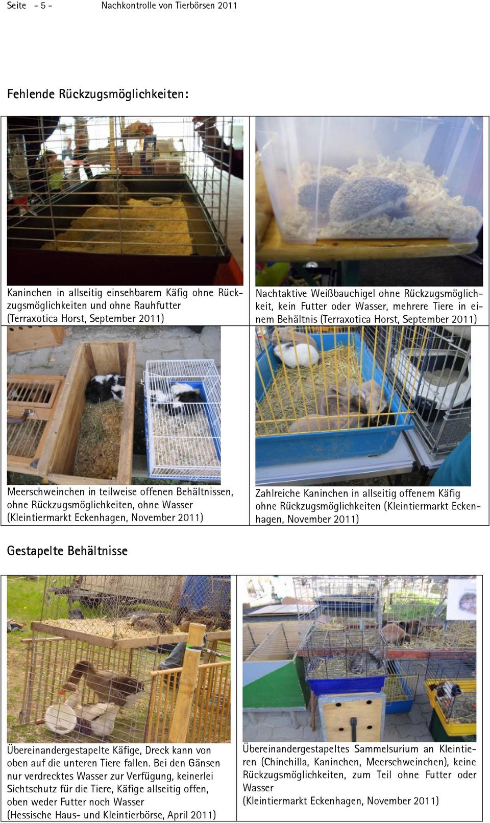 Behältnissen, ohne Rückzugsmöglichkeiten, ohne Wasser Zahlreiche Kaninchen in allseitig offenem Käfig ohne Rückzugsmöglichkeiten (Kleintiermarkt Eckenhagen, November 2011) Gestapelte Behältnisse