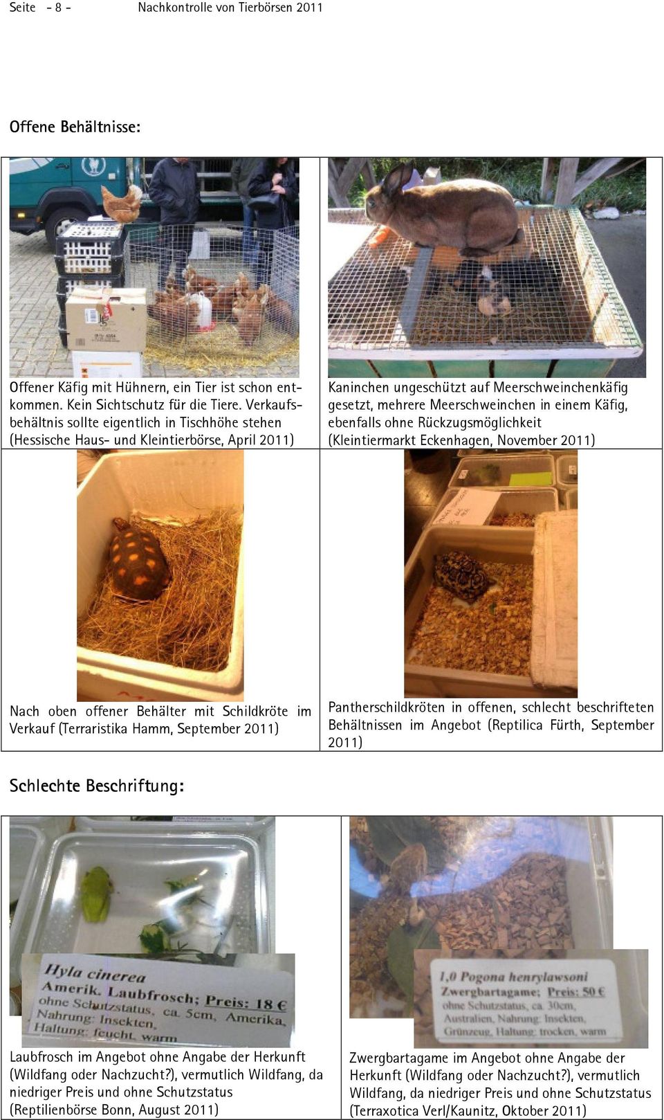 Käfig, ebenfalls ohne Rückzugsmöglichkeit Nach oben offener Behälter mit Schildkröte im Verkauf (Terraristika Hamm, September 2011) Pantherschildkröten in offenen, schlecht beschrifteten Behältnissen