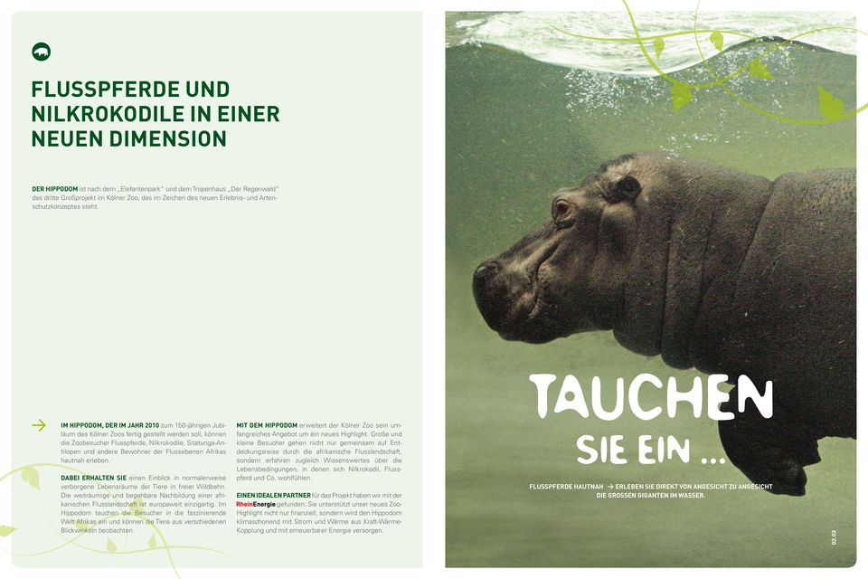 Im Hippodom, der im Jahr 2010 zum 150-jährigen Jubiläum des Kölner Zoos fertig gestellt werden soll, können die Zoobe sucher Flusspferde, Nilkrokodile, Sitatunga-Antilopen und andere Bewohner der