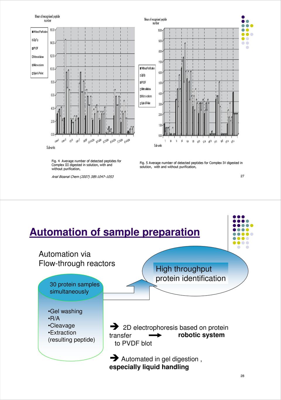 Flow-through reactors 30 protein samples simultaneously High throughput protein identification Gel washing Gel R/A washing R/A Cleavage Cleavage Extraction