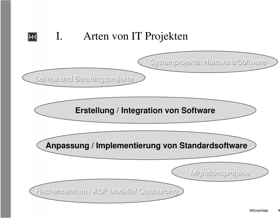 Software Anpassung / Implementierung von Standardsoftware