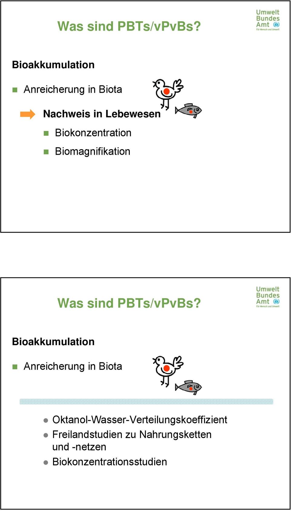 Biokonzentration Biomagnifikation  Bioakkumulation Anreicherung in
