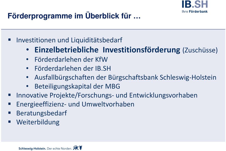 SH Ausfallbürgschaften der Bürgschaftsbank Schleswig-Holstein Beteiligungskapital der MBG