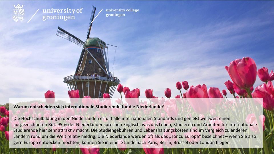 95 % der Niederländer sprechen Englisch, was das Leben, Studieren und Arbeiten für internadonale Studierende hier sehr aqrakdv macht.
