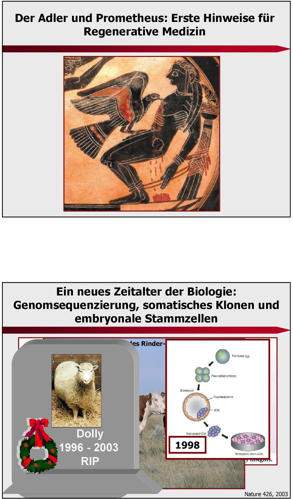 Stammzellen 2004: Erste Versionen des Rinder- und Geflügelgenoms 2006: Hund,