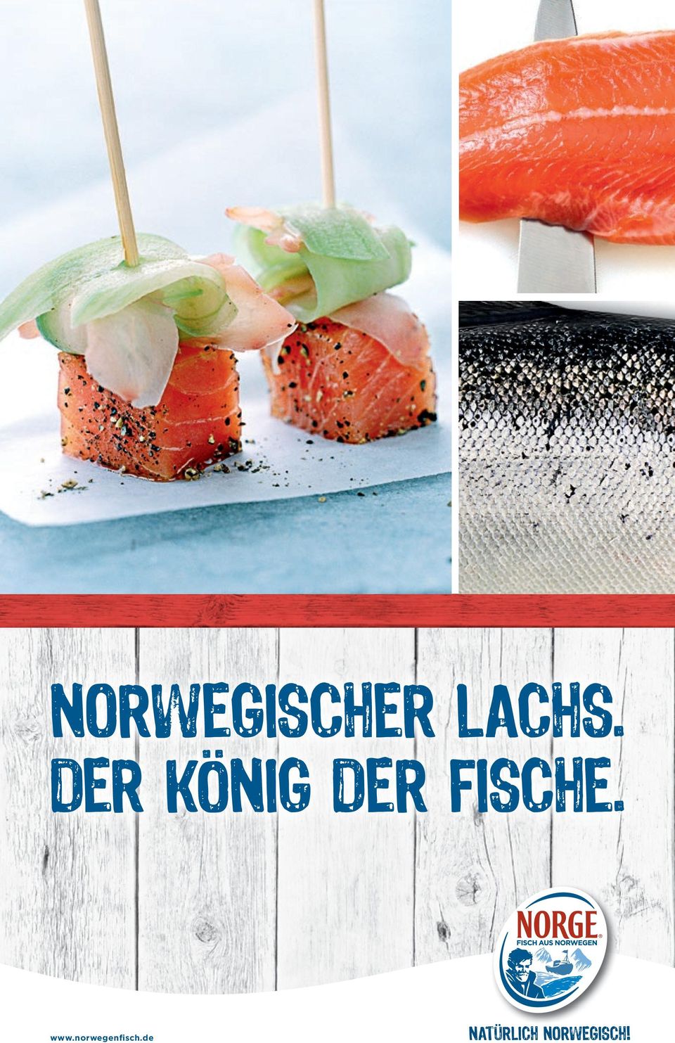 www.norwegenfisch.