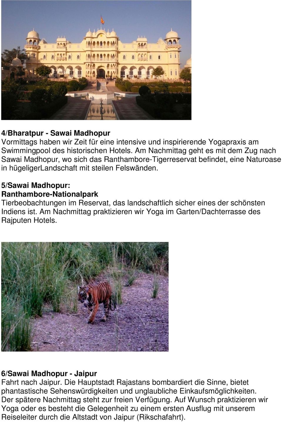 5/Sawai Madhopur: Ranthambore-Nationalpark Tierbeobachtungen im Reservat, das landschaftlich sicher eines der schönsten Indiens ist.