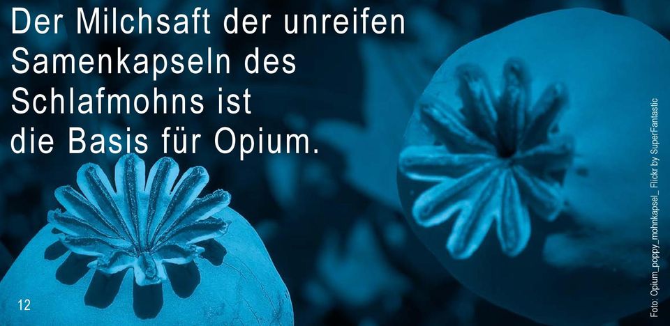 die Basis für Opium.