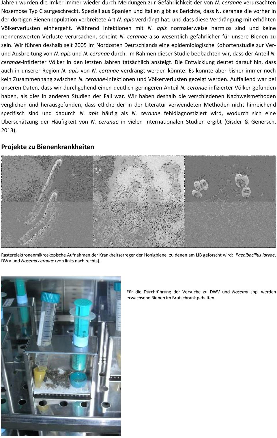 apis normalerweise harmlos sind und keine nennenswerten Verluste verursachen, scheint N. ceranae also wesentlich gefährlicher für unsere Bienen zu sein.