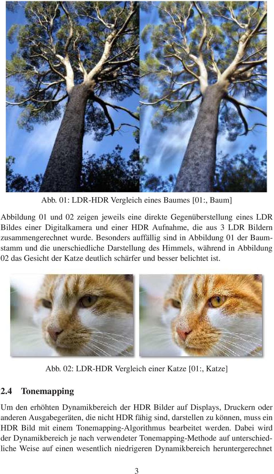 Besonders auffällig sind in Abbildung 01 der Baumstamm und die unerschiedliche Darstellung des Himmels, während in Abbildung 02 das Gesicht der Katze deutlich schärfer und besser belichtet ist. 2.