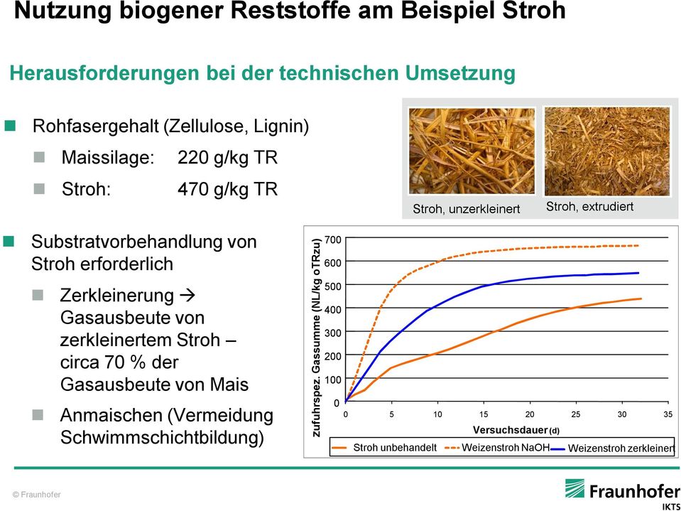 Zerkleinerung à Gasausbeute von zerkleinertem Stroh circa 70 % der Gasausbeute von Mais Anmaischen (Vermeidung Schwimmschichtbildung)