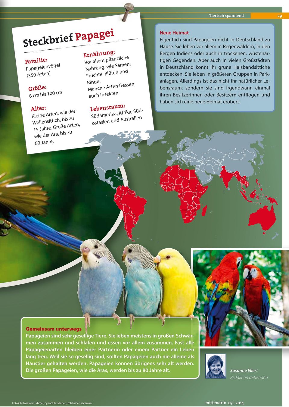 Lebensraum: Südamerika, Afrika, Südostasien und Australien Neue Heimat Eigentlich sind Papageien nicht in Deutschland zu Hause.