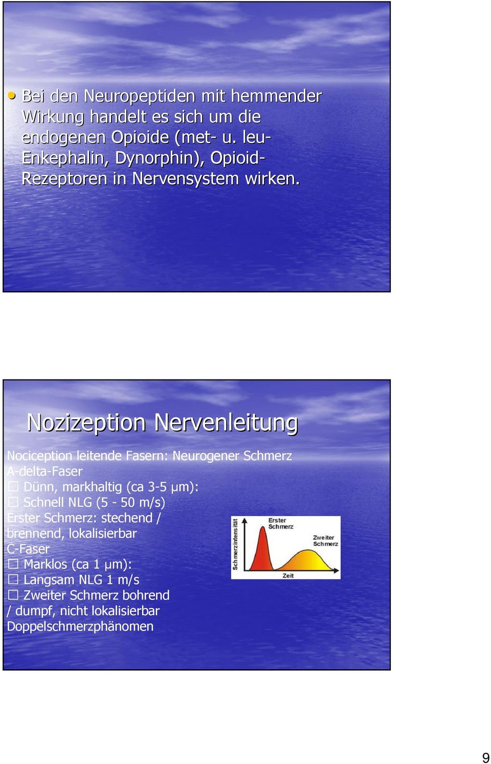 Nozizeption Nervenleitung Nociception leitende Fasern: Neurogener Schmerz A-delta-Faser Dünn, markhaltig (ca 3-5 µm):