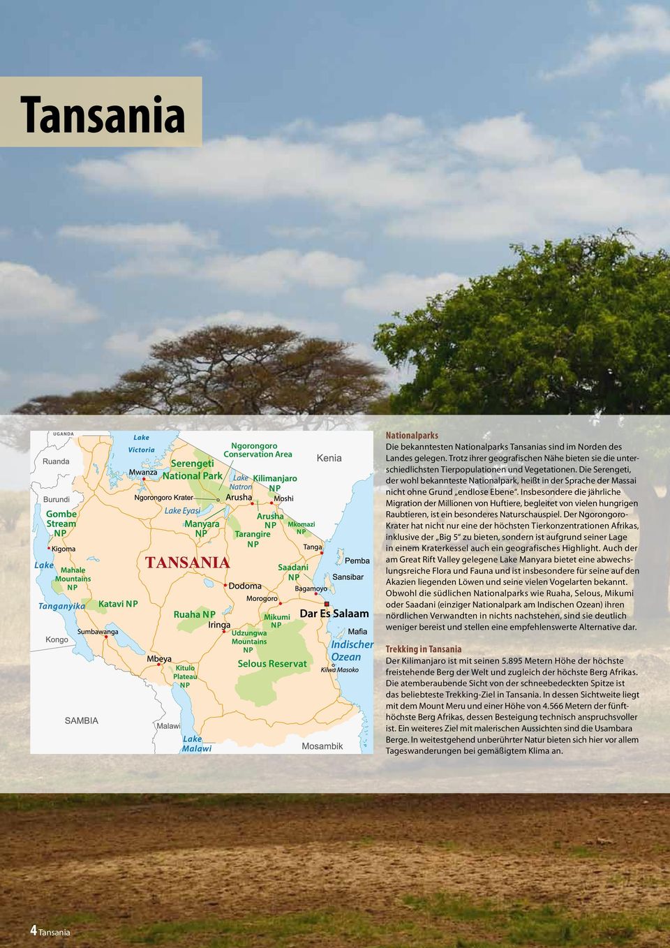 Die Serengeti, der wohl bekannteste Nationalpark, heißt in der Sprache der Massai nicht ohne Grund endlose Ebene.