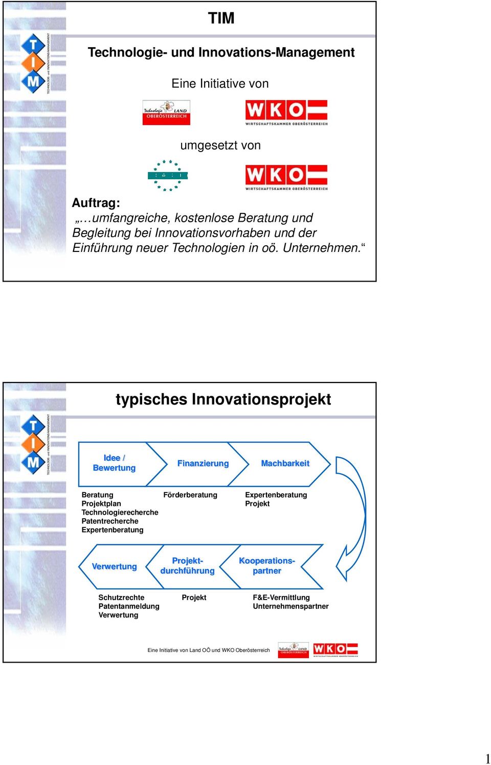 typisches Innovationsprojekt Idee / Bewertung Finanzierung Machbarkeit Beratung Projektplan Technologierecherche Patentrecherche