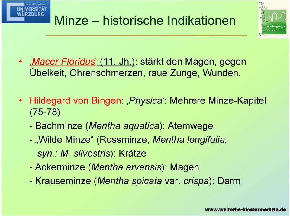 Hildegard von Bingen: Physica : Mehrere Minze-Kapitel (75-78) - Bachminze (Mentha aquatica):