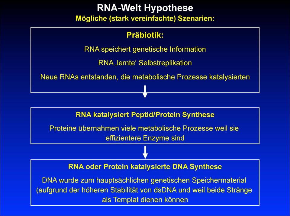 übernahmen viele metabolische Prozesse weil sie effizientere Enzyme sind RA oder Protein katalysierte DA Synthese DA wurde