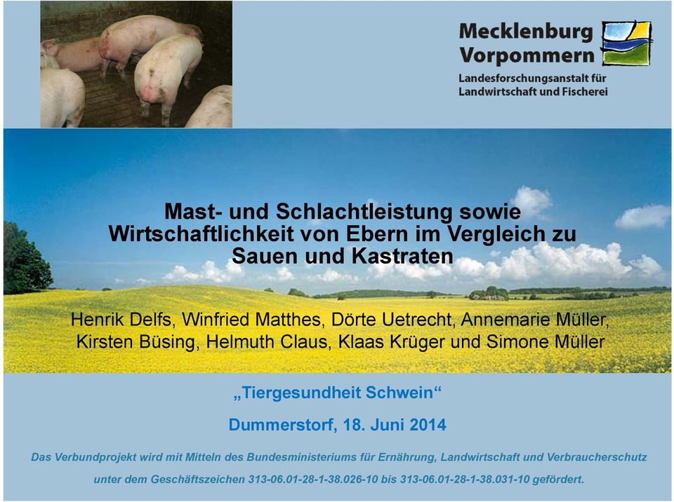 Tiergesundheit Schwein Dummerstorf, 18.