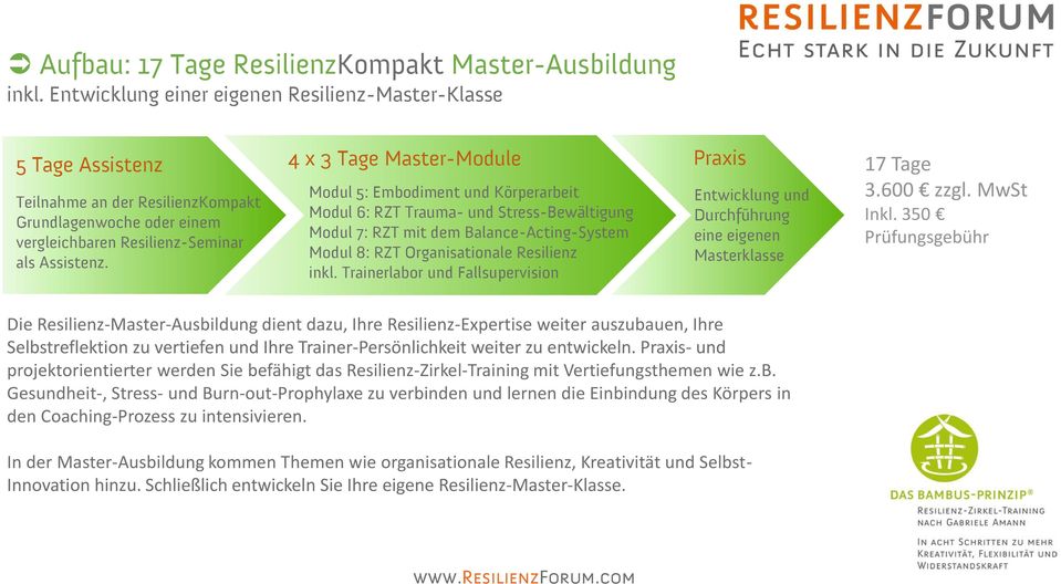 4 x 3 Tage Master-Module Modul 5: Embodiment und Körperarbeit Modul 6: RZT Trauma- und Stress-Bewältigung Modul 7: RZT mit dem Balance-Acting-System Modul 8: RZT Organisationale Resilienz inkl.
