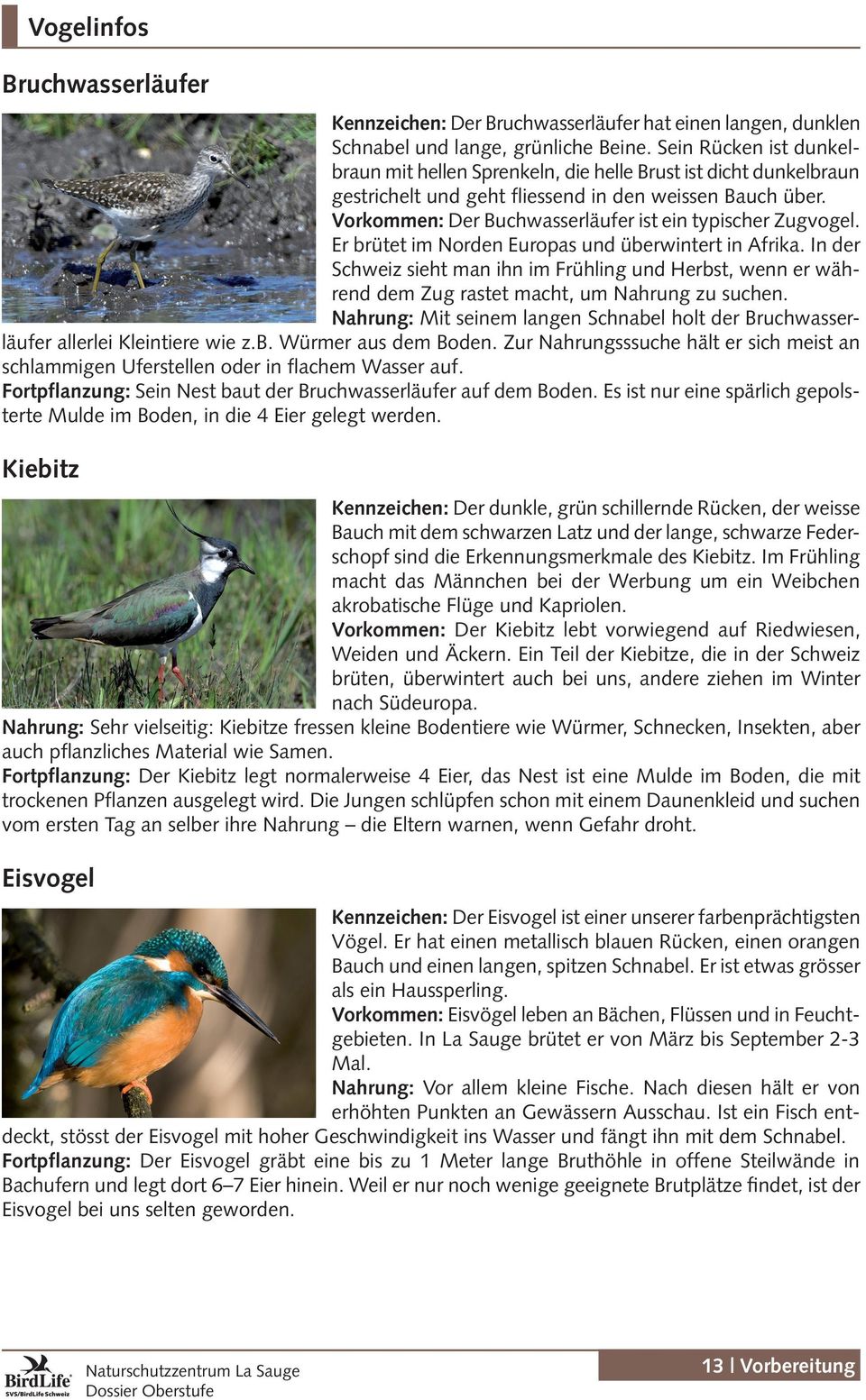Vorkommen: Der Buchwasserläufer ist ein typischer Zugvogel. Er brütet im Norden Europas und überwintert in Afrika.