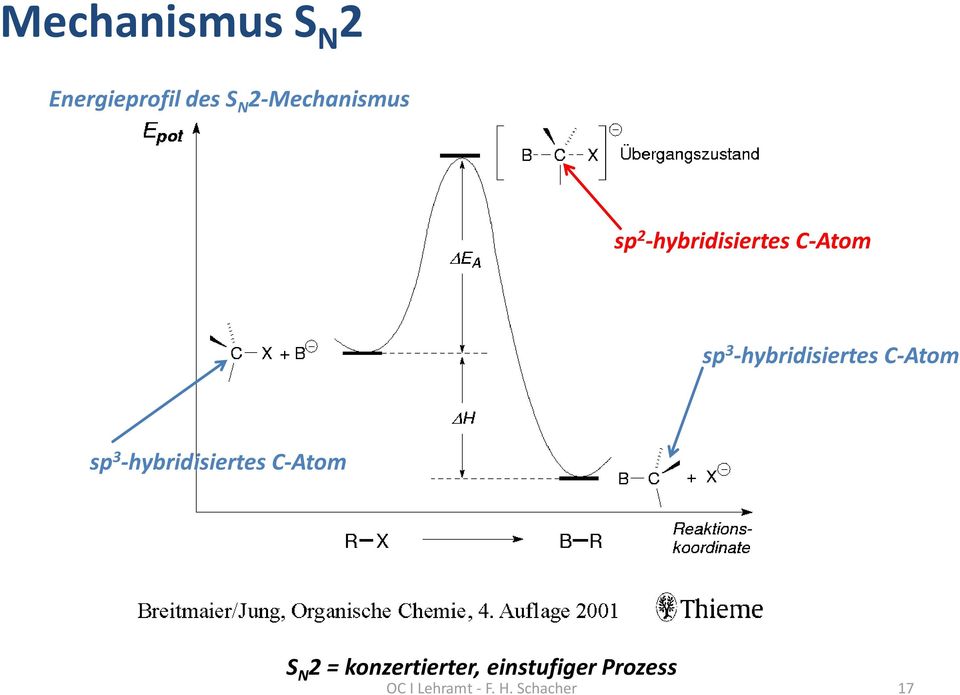 C-Atom sp 3 -hybridisiertes C-Atom S N 2 =