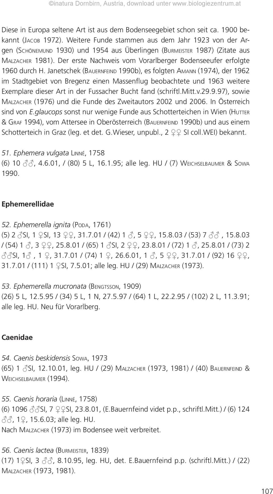 Der erste Nachweis vom Vorarlberger Bodenseeufer erfolgte 1960 durch H.