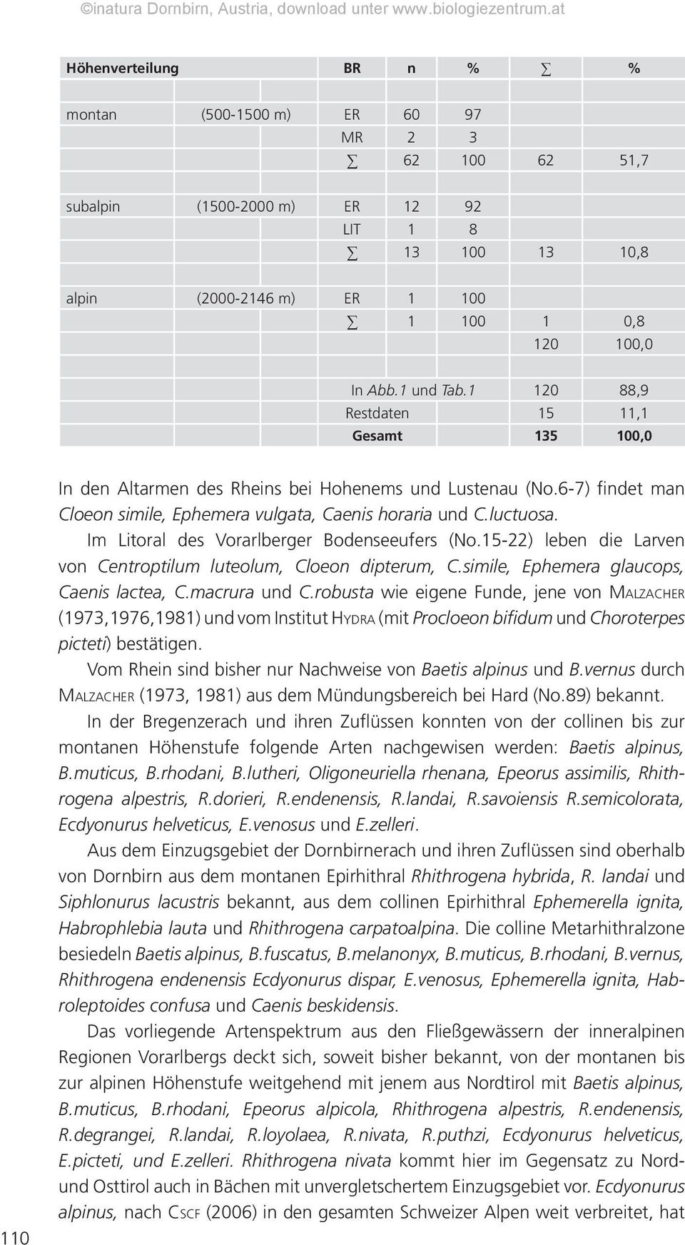 Im Litoral des Vorarlberger Bodenseeufers (No.15-22) leben die Larven von Centroptilum luteolum, Cloeon dipterum, C.simile, Ephemera glaucops, Caenis lactea, C.macrura und C.