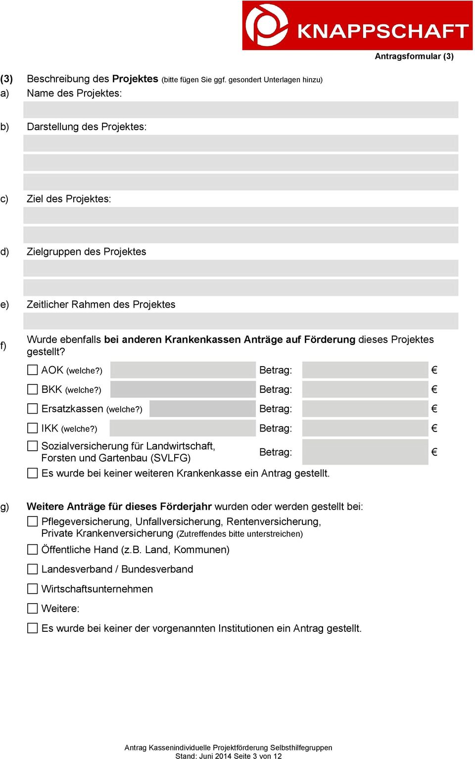 Krankenkassen Anträge auf Förderung dieses Projektes gestellt? AOK (welche?) Betrag: BKK (welche?) Betrag: Ersatzkassen (welche?) Betrag: IKK (welche?