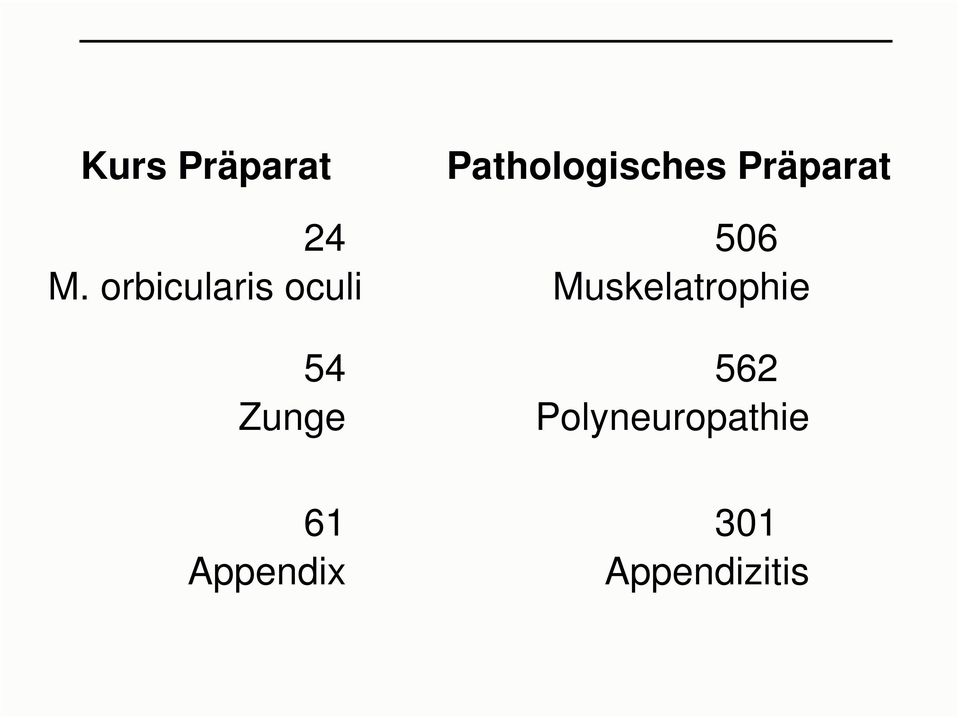 Appendix Pathologisches Präparat