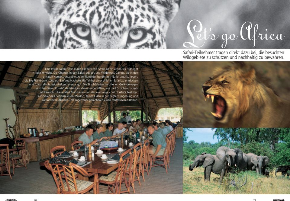 Die Chance, in den Safari-Lodges und Wilderness Camps, die in den privaten Konzessionsgebieten am Rand der berühmten Nationalparks liegen, die Big Five (Löwe, Leopard, Elefant, Nashorn, Büffel) bei