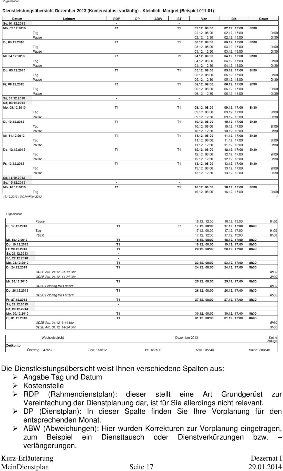 DP (Dienstplan): In dieser Spalte finden Sie Ihre Vorplanung für den entsprechenden Monat.