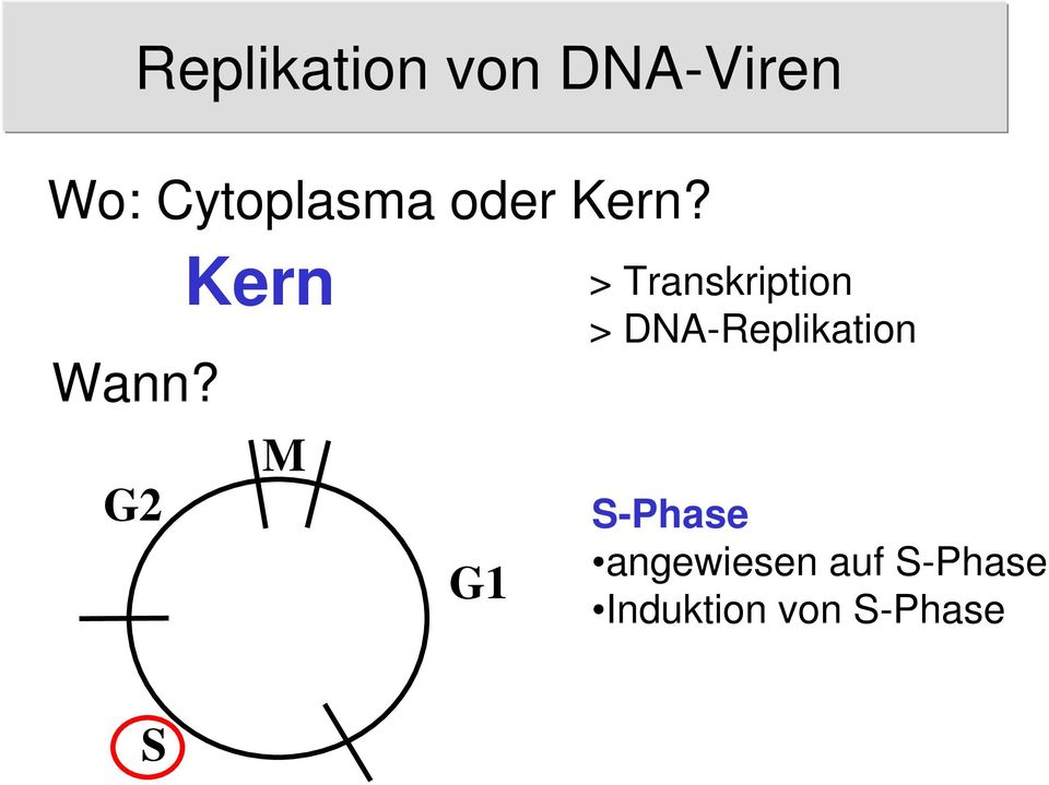 Kern M G2 G1 > Transkription >