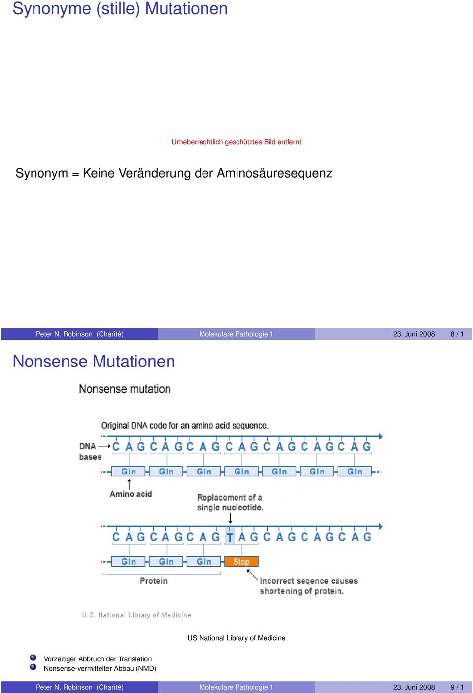 Juni 2008 8 / 1 Nonsense Mutationen US National Library of Medicine Vorzeitiger