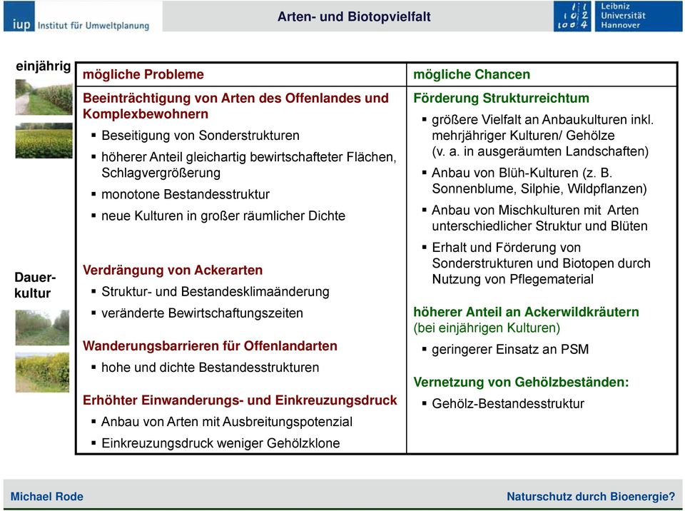 Bewirtschaftungszeiten Wanderungsbarrieren für Offenlandarten hohe und dichte Bestandesstrukturen Erhöhter Einwanderungs- und Einkreuzungsdruck Anbau von Arten mit Ausbreitungspotenzial