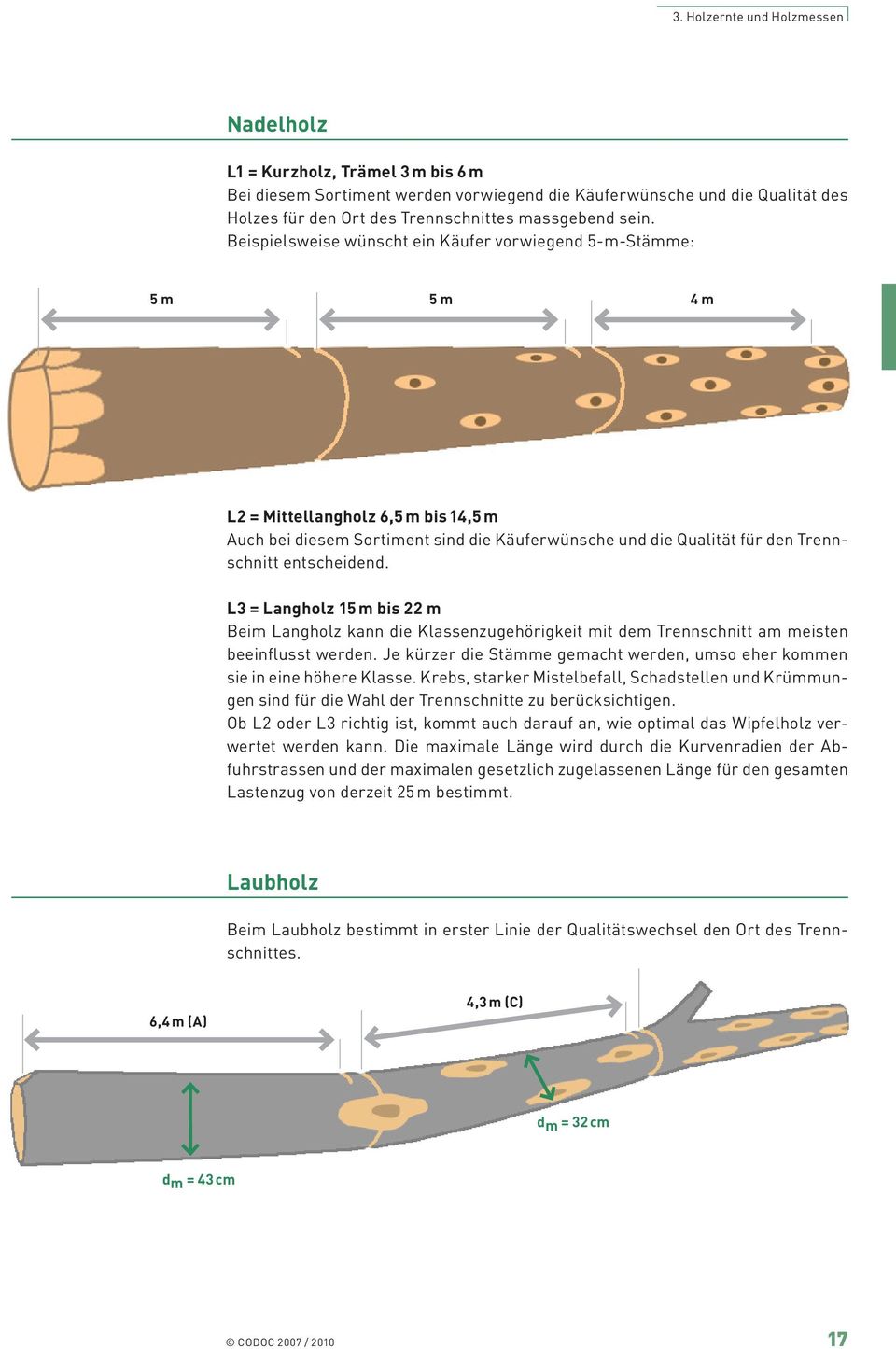 entscheidend. L3 = Langholz 15 m bis 22 m Beim Langholz kann die Klassenzugehörigkeit mit dem Trennschnitt am meisten beeinflusst werden.