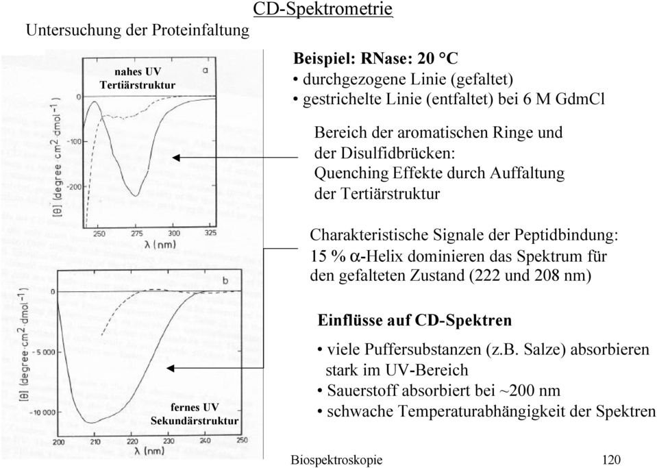 Peptidbindung: 15 % α-helix dominieren das Spektrum für den gefalteten Zustand (222 und 208 nm) fernes UV Sekundärstruktur Einflüsse auf CD-Spektren viele