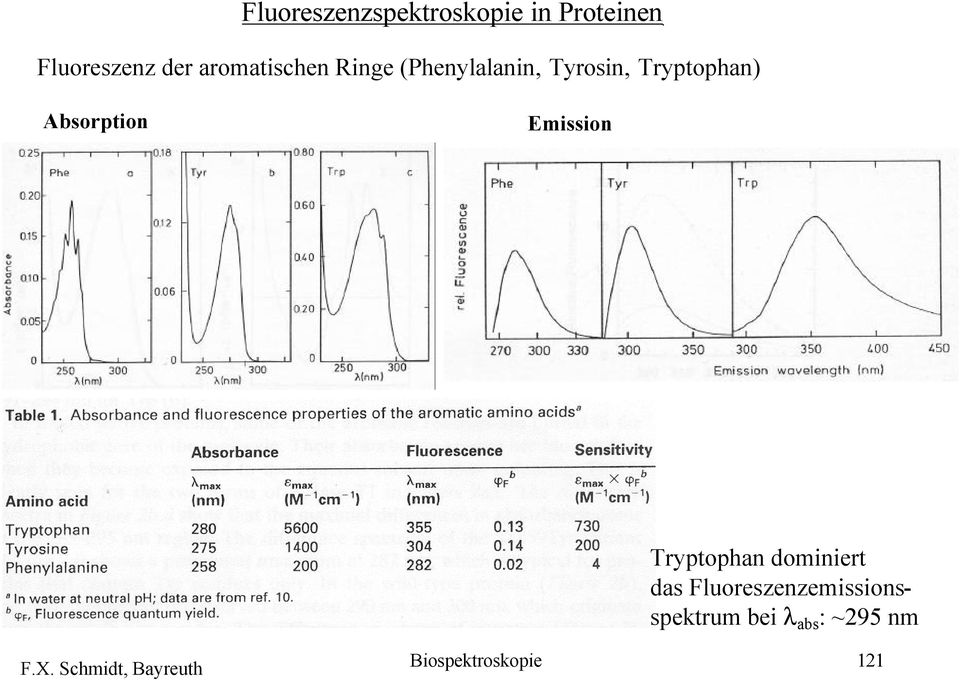 Absorption Emission Tryptophan dominiert das