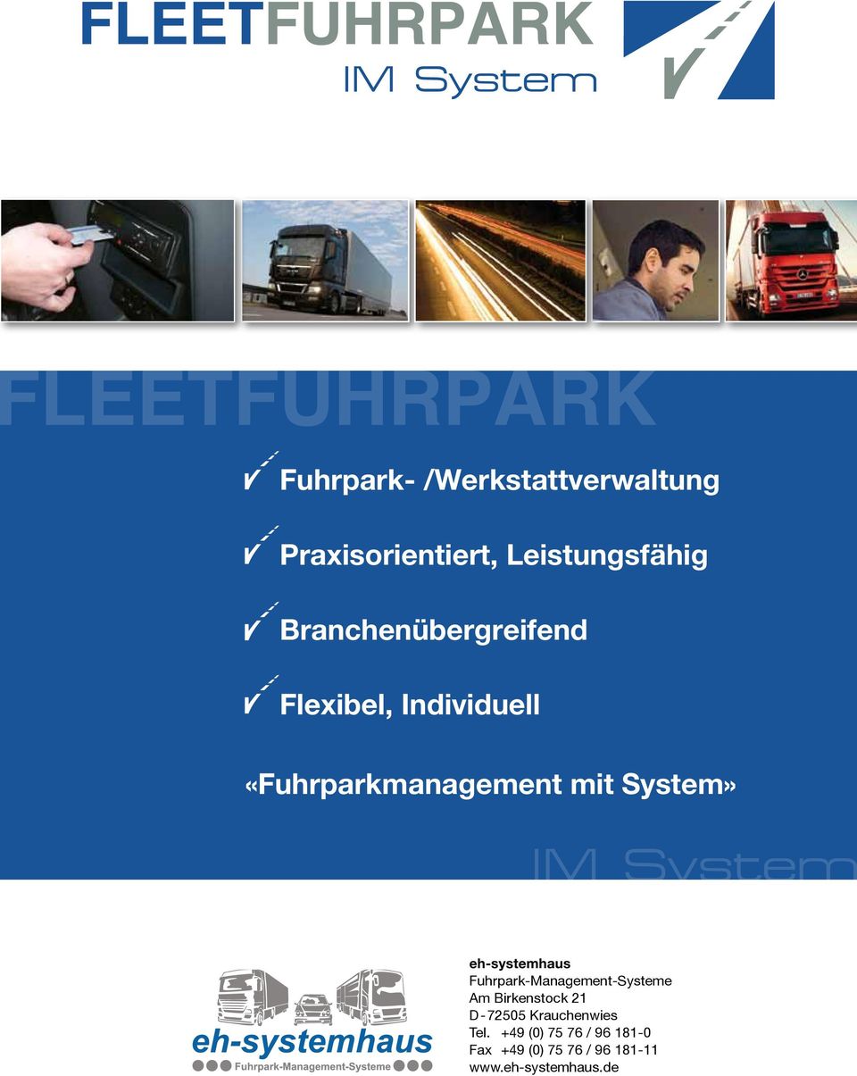 eh-systemhaus Fuhrpark-Management-Systeme Am Birkenstock 21 D-72505