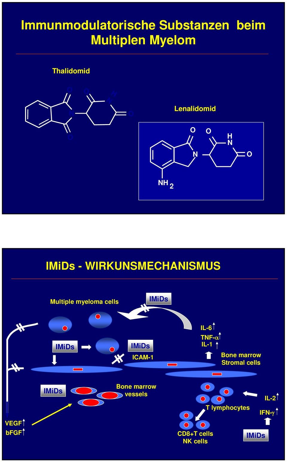 IMiDs IMiDs IMiDs ICAM-1 IL-6 TNF-α IL-1 Bone marrow Stromal cells IMiDs