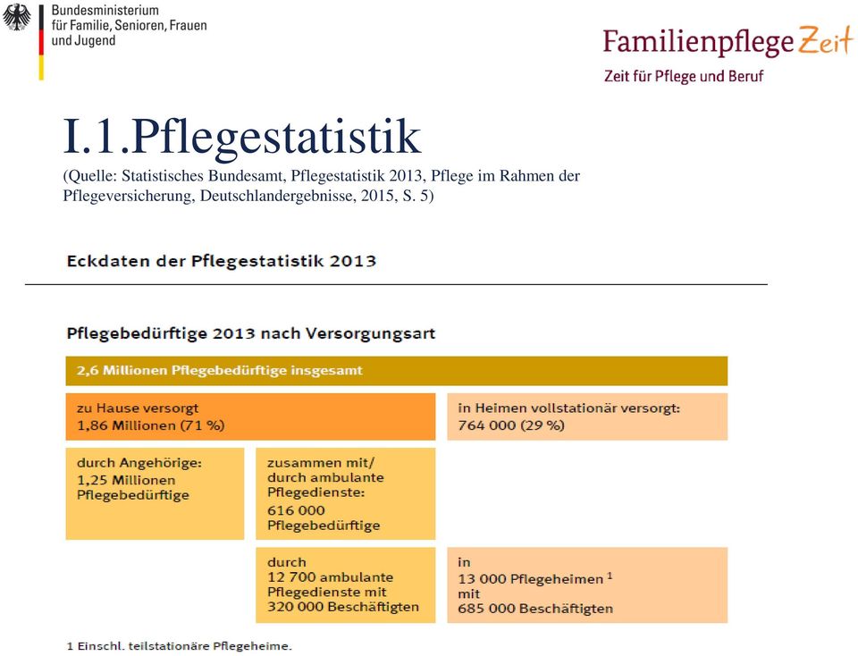 Pflegestatistik 2013, Pflege im