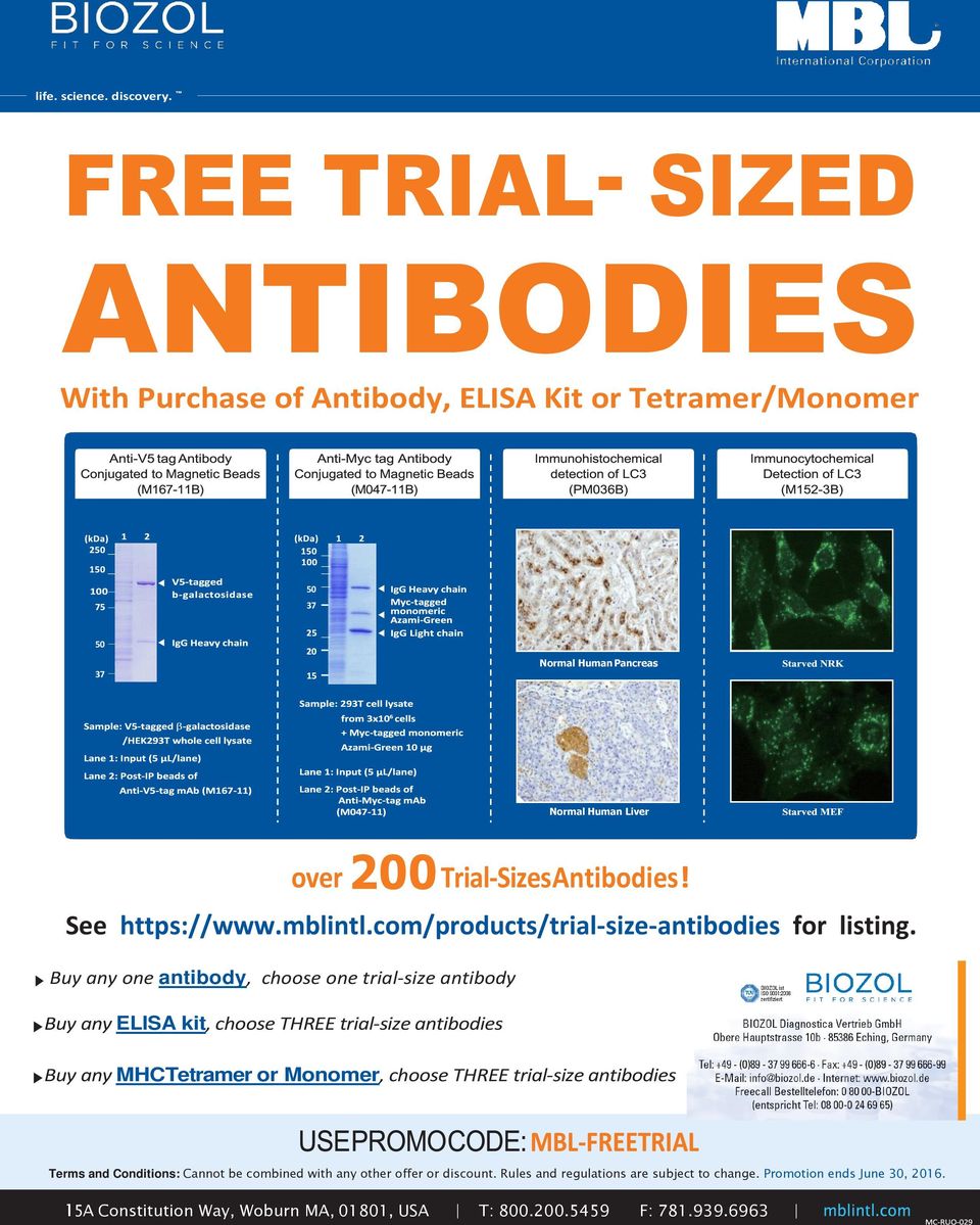 Trial-SizesAntibodies! See https://www.mblintl.com/products/trial-size-antibodies for listing.