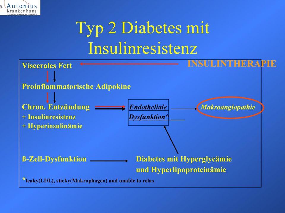Entzündung Endotheliale Makroangiopathie + Insulinresistenz Dysfunktion* +